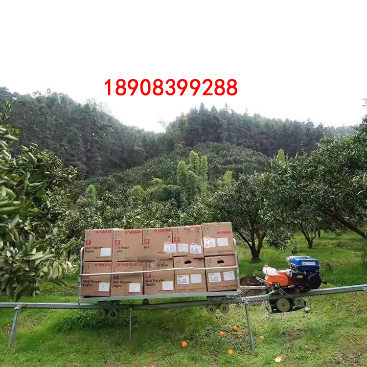 1725676418470200.jpg